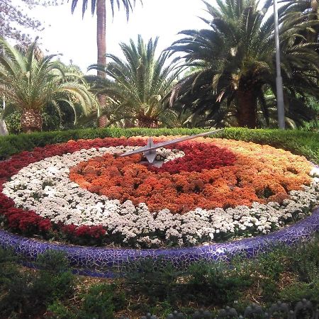 Lalas Ramblas Estudio Santa Cruz Tenerife Zewnętrze zdjęcie
