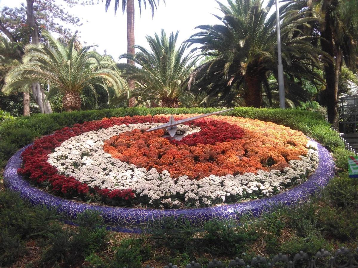 Lalas Ramblas Estudio Santa Cruz Tenerife Zewnętrze zdjęcie